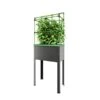 Verhoogd Kweekbak City Jungle Heidelberg Met Klimframe 2 Verhoogd Kweekbak City Jungle Heidelberg Met Klimframe -Buitentuinwinkel verhoogd plantenbed city jungle heidelberg 1677506551 1 600