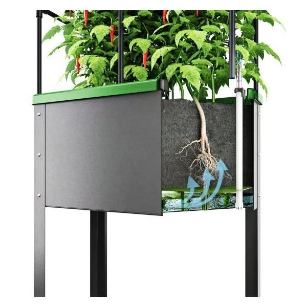 Verhoogd Kweekbak City Jungle Heidelberg Met Klimframe 5 Verhoogd Kweekbak City Jungle Heidelberg Met Klimframe - Afbeelding 3