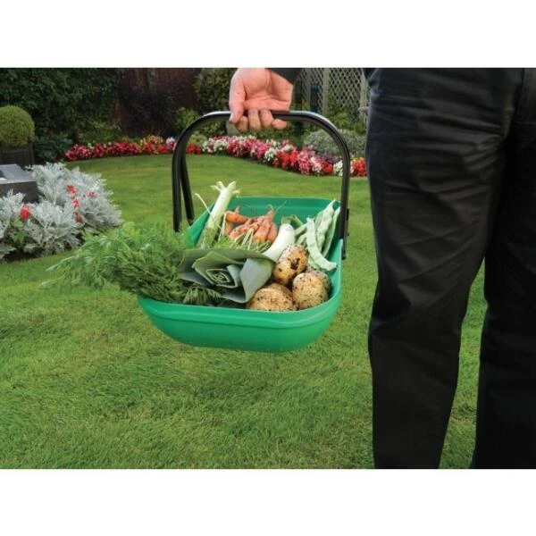 Verzamelmand - Groente En Fruit 5 Verzamelmand - Groente En Fruit - Afbeelding 3