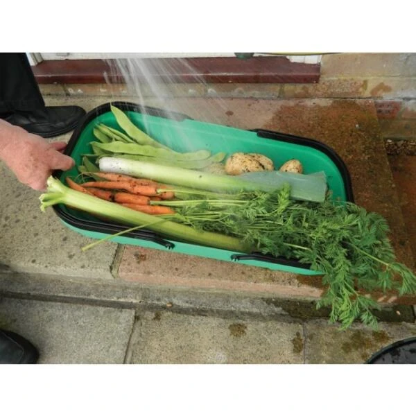 Verzamelmand - Groente En Fruit 6 Verzamelmand - Groente En Fruit - Afbeelding 4