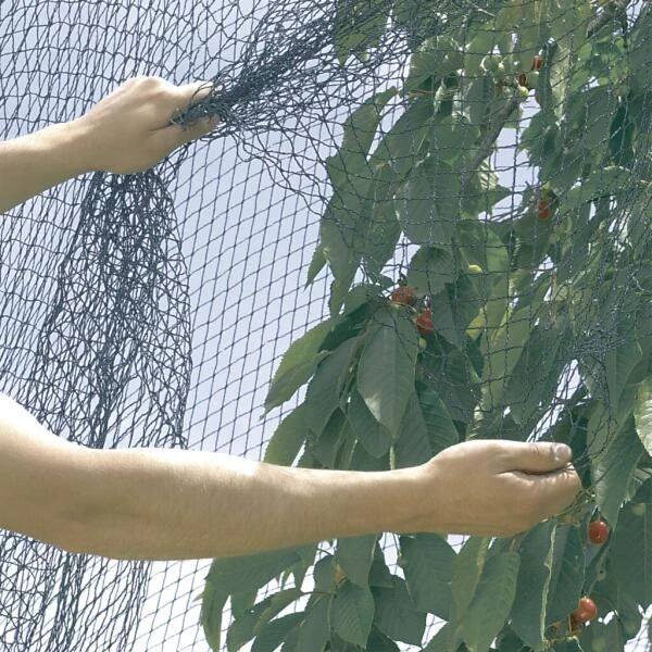 Vogelnet Beschermnet - Pronet 5 × 12 M 4 Vogelnet Beschermnet - Pronet 5 × 12 M - Afbeelding 2