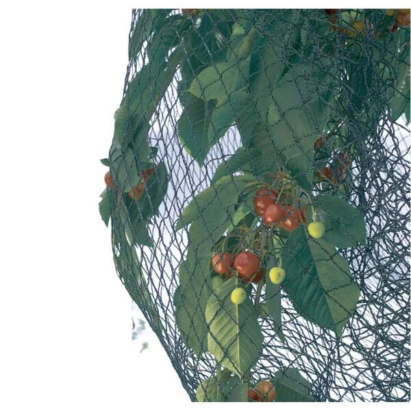 Vogelnet Beschermnet - Pronet 5 × 12 M 5 Vogelnet Beschermnet - Pronet 5 × 12 M - Afbeelding 3