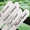 Waterbestendige Stift Zwart Voor Plantenlabels -Buitentuinwinkel waterbestendige stift zwart 1484062288 2 600