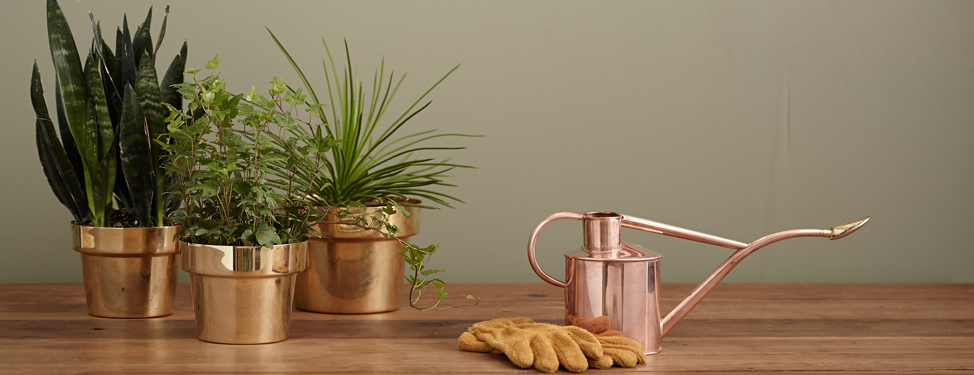 Buitentuinwinkel 12 Buitentuinwinkel -Buitentuinwinkel photo 1497990571654 77aa8ec36038