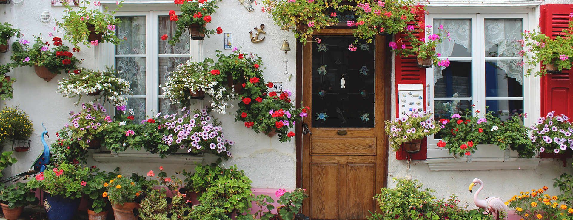 Buitentuinwinkel 10 Buitentuinwinkel -Buitentuinwinkel photo 1607238218233 20b7dbb40e2b